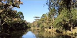 Desentupidora Barreirinha 3045-7444– Desentupidora