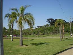 desentupidora curitiba atuba